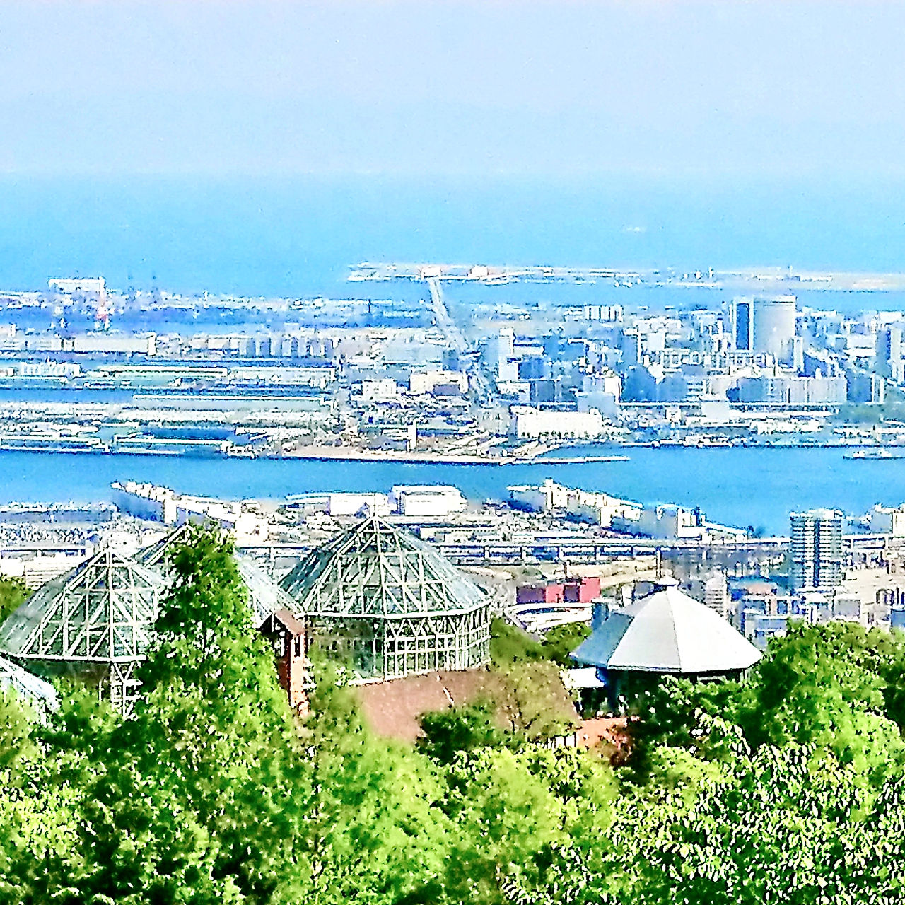 神戶自然體驗 × 牧場與花園