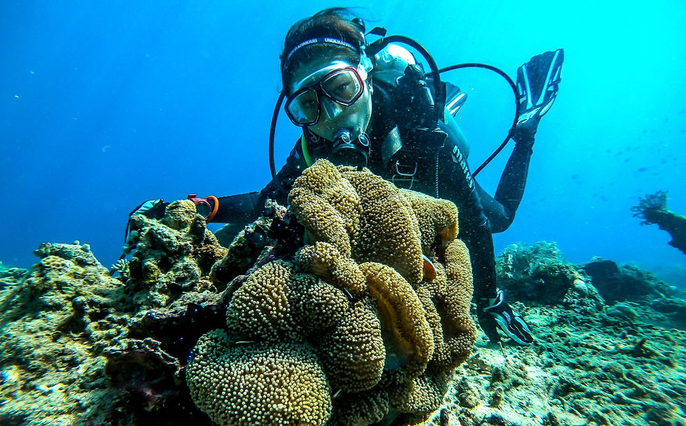 スキューバ ダイビング