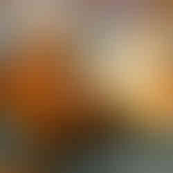 那覇&南部の通な名店11選