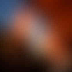 柳井金魚ちょうちん祭り