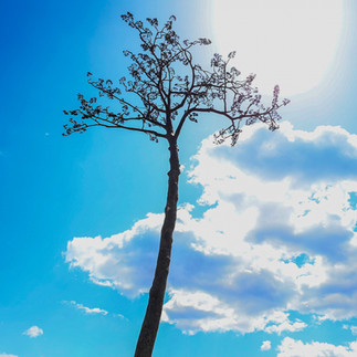 三陸海岸 × 鐵道體驗