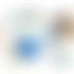 沖縄限定ジュエリー!「長七屋のホタルガラス」