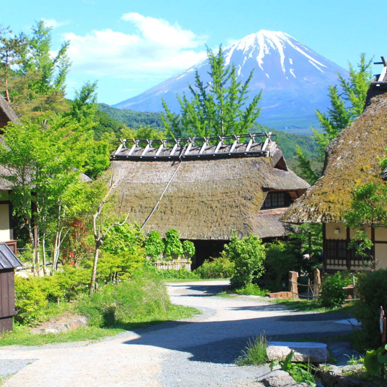 富士山美景 × 溫泉旅館體驗