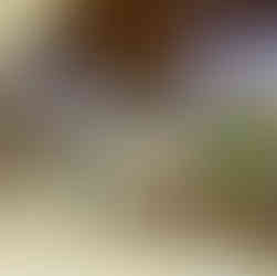 沖縄最大級のショッピングモール「イオンモールライカム」