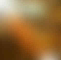 那覇&南部の通な名店11選