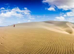 フィジーの自然と文化を満喫!