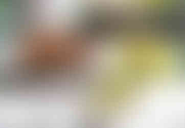 故宮晶華食事内容