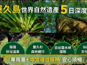 屋久島世界遺產5日深度之旅｜世界遺產屋久杉・白谷雲水峽・指宿砂浴溫泉深度旅遊（專車＋中文導覽）
