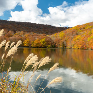 蔦沼の紅葉