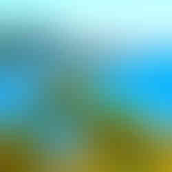 關西 高端 旅遊