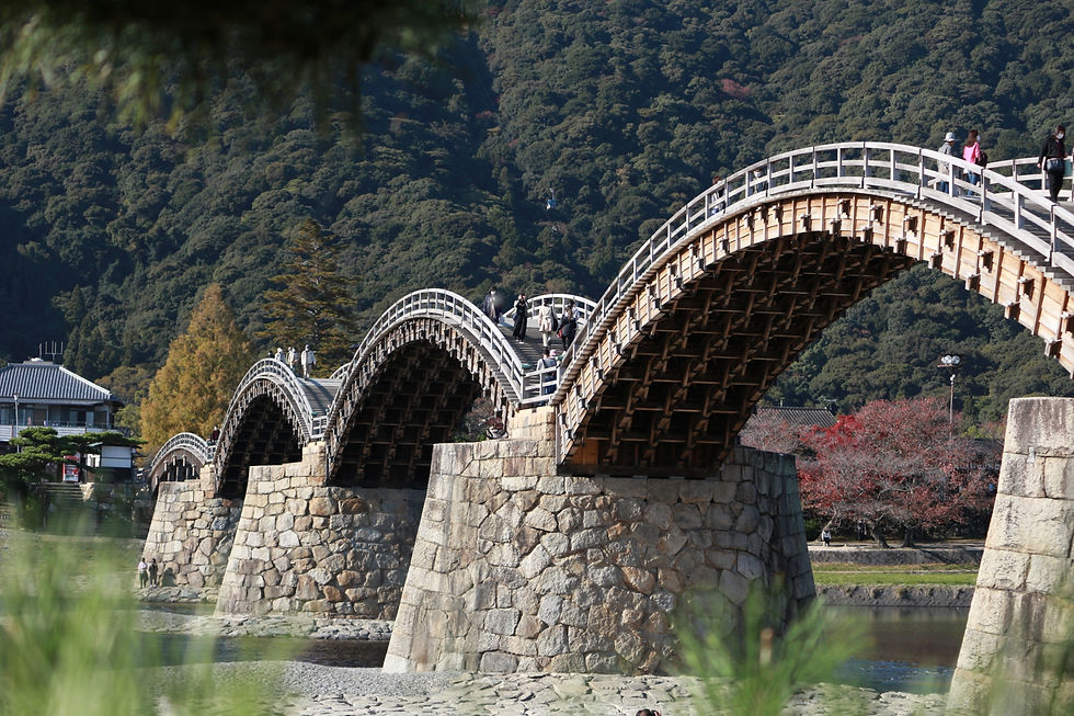 24950202_m.jpg
