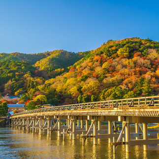 造訪閃耀的金閣寺，隨後前往嵐山。漫步於著名的嵯峨野竹林與渡月橋。