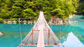【静岡観光】夢の吊り橋の絶景!アクセス・見どころ・ベストシーズン