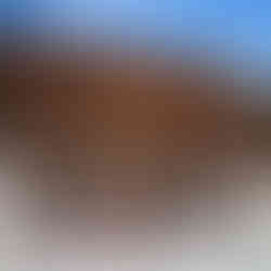 鳳宮(Sanfeng Temple)：在地信仰中心