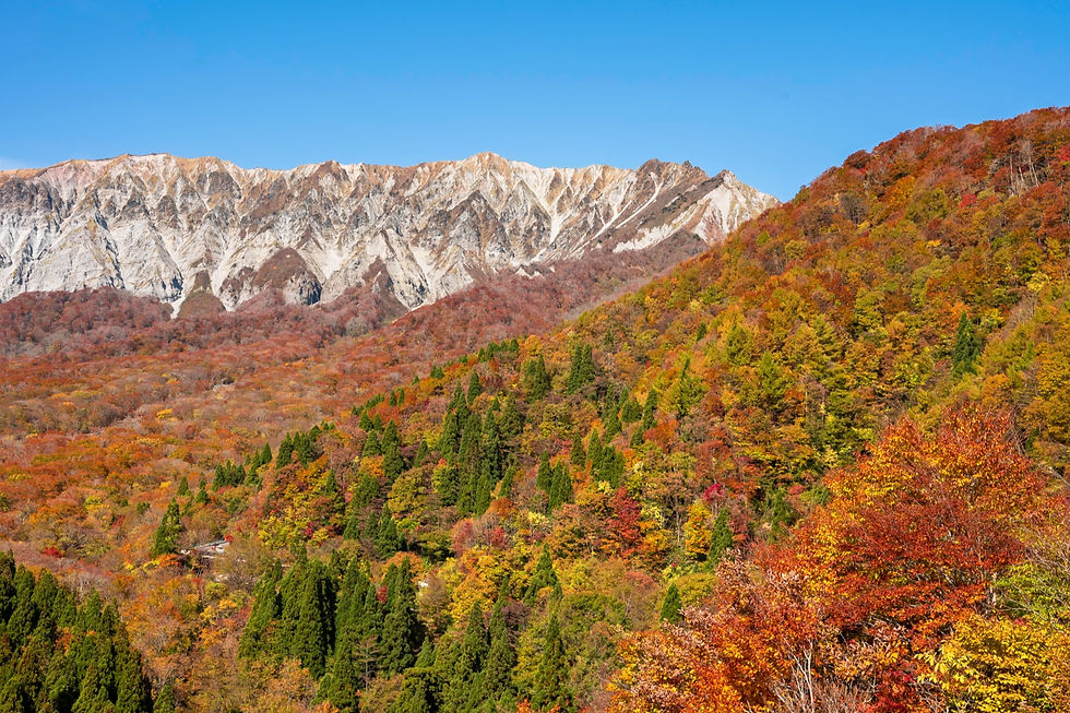 大山