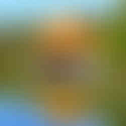 京都深度 × 藝伎體驗