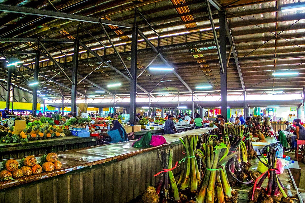 ナンディ/デナラウ発ツアー