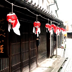 柳井金魚ちょうちん祭り