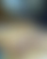 White chocolate fudge with speckled eggs