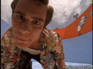 giphy-14.gif