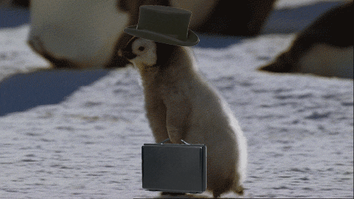 giphy-19.gif