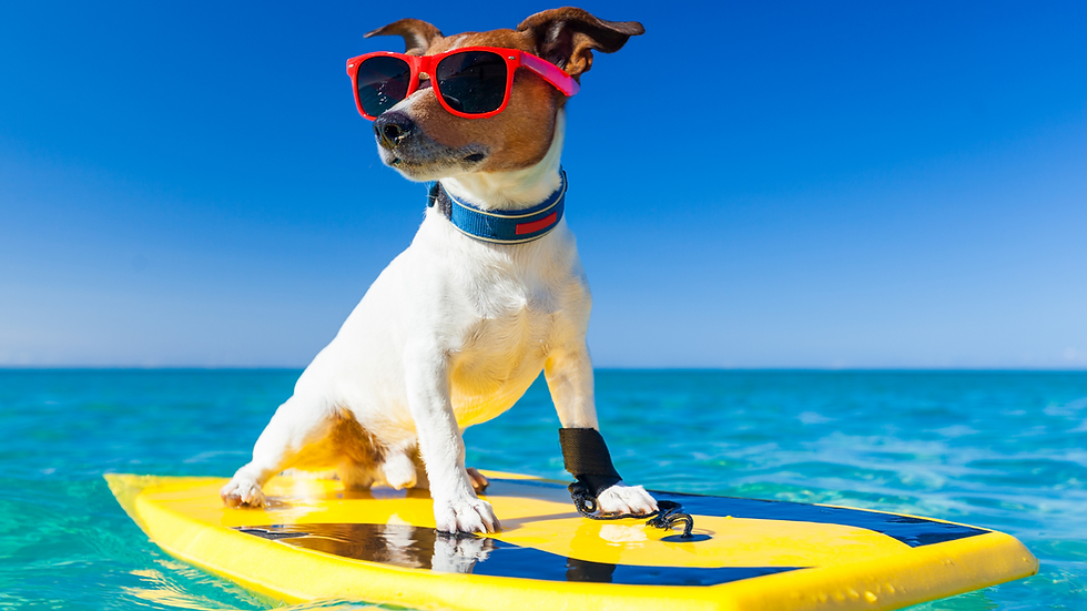 Dog with red sunglasses stands confidently on a yellow surfboard in the ocean under a clear blue sky. Vibrant and playful mood.