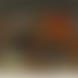 Restauratie schouwstuk Kasteel Nijenrode: meesterwerk hersteld - #3 serie erfgoed