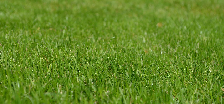 Lawn Installation