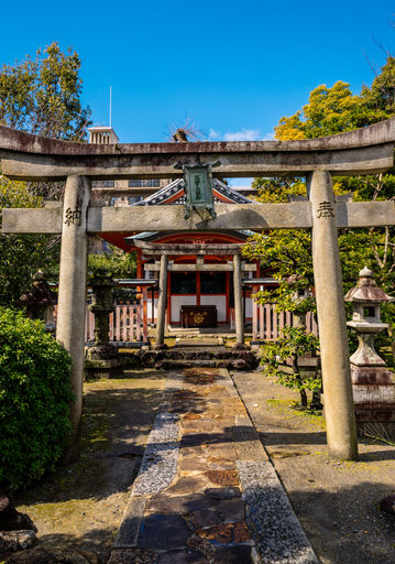 Copy of IMG_4801.jpg