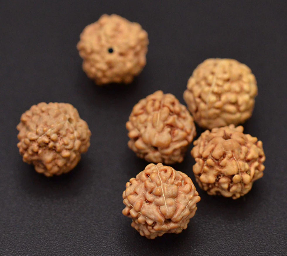 Miniatura: Natural Rudraksha 108 Bead Mala Necklace/Bracelet 8mm