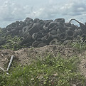 ECO FRIENDLY