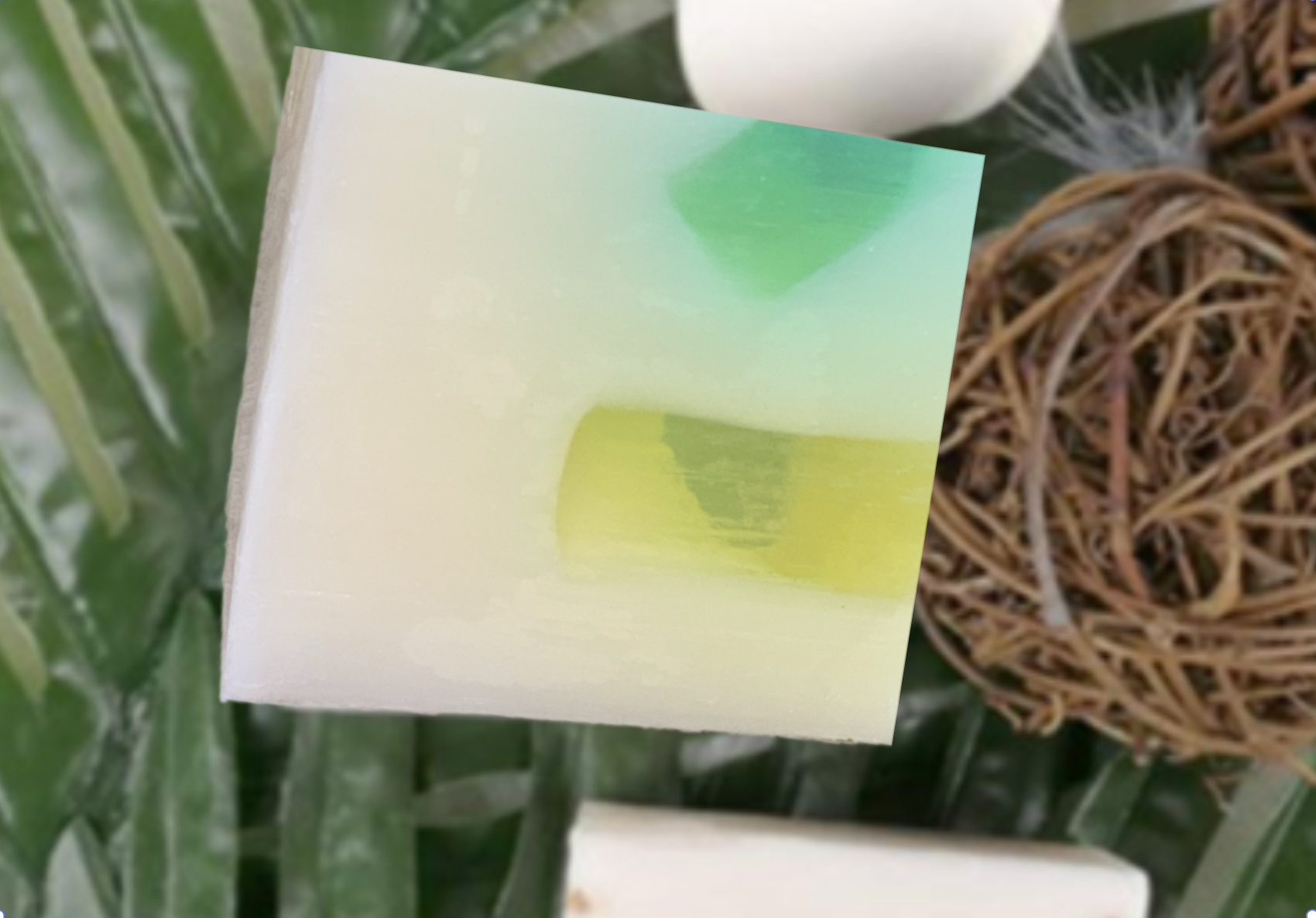 Handmade Organic Aloe Vera Soap
