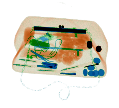 Simulated X-ray image of purse