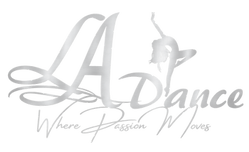 UPDATED LOGO - SILVER.compressed.png