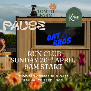 Pick Your Own Flowers at Tomtit Farm this Sunday in Matangi