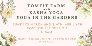 Sunday Yoga in the Gardens at Tomtit Farm