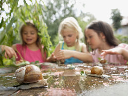 Teaching Children About Nature and Conservation in Summer