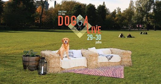 Dogga' live- Festival Canino