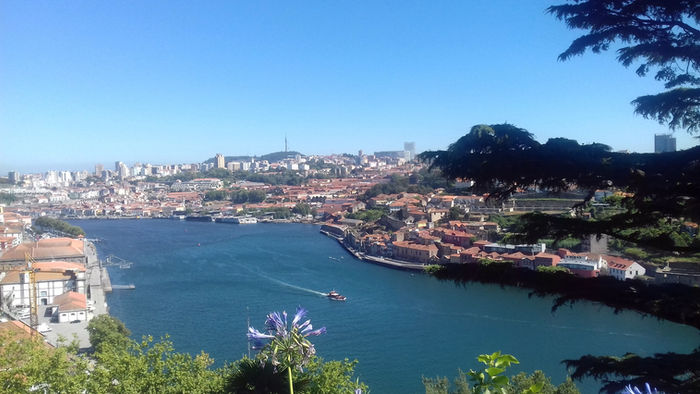 Passeio pelo Porto + Cupcakes