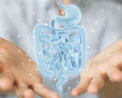 microbiote