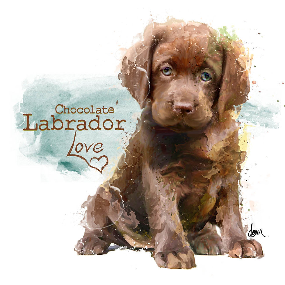 Chocolate Lab Puppy Love