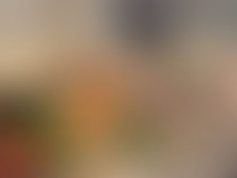 Chilli, our axolotl.