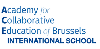 ace of brussels international school