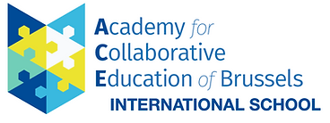 ACE OF BRUSSELS INTERNATIONAL SCHOOL.png