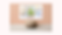 Copie de Copie de Candidature CV Anne-Sophie Fratello Exposition monographique Salle Jean-