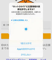 appiPhone-log02.jpeg