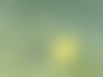 WORKSHEET: The "NAME" practice.