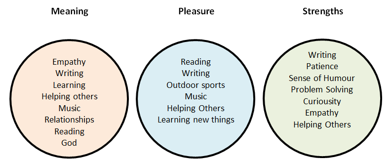 Meaning Pleasure Strengths Exercise
