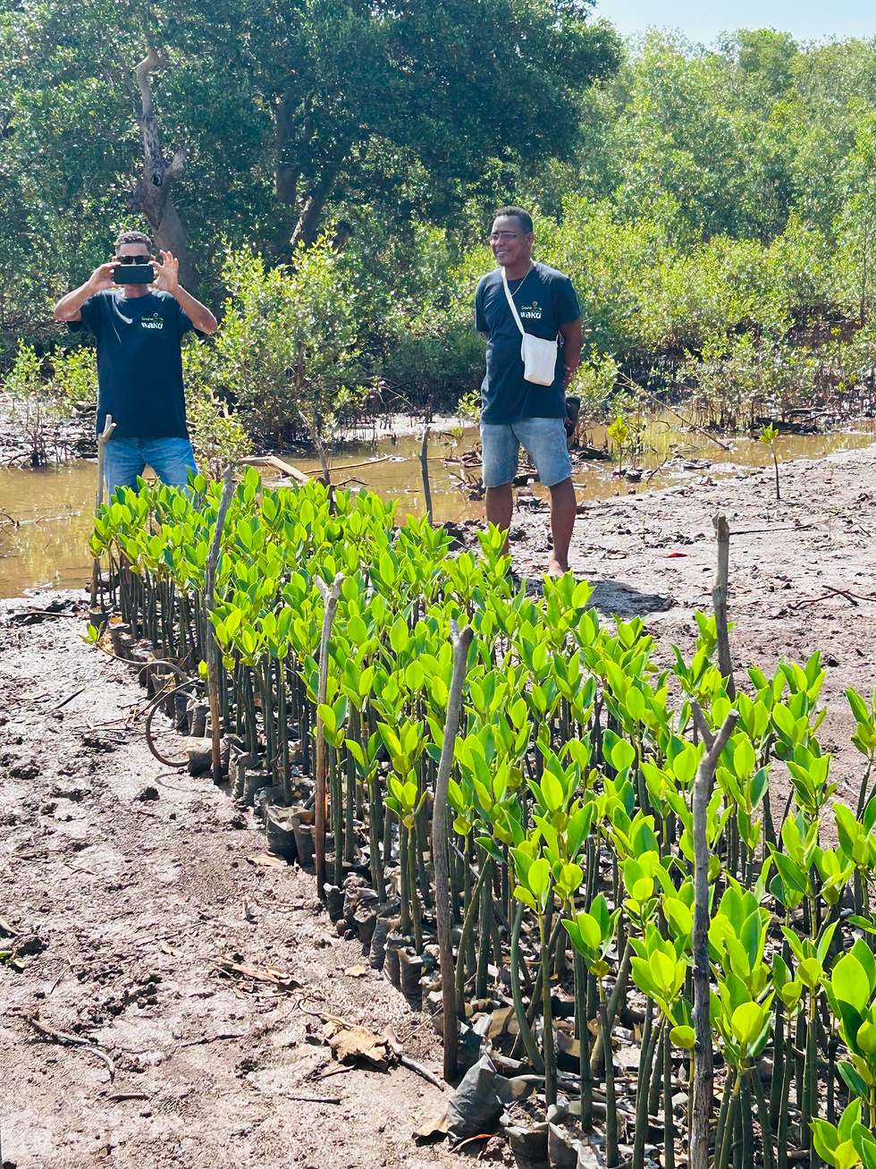 Madagascar Sofia Mangroves LabGroup 1.heic