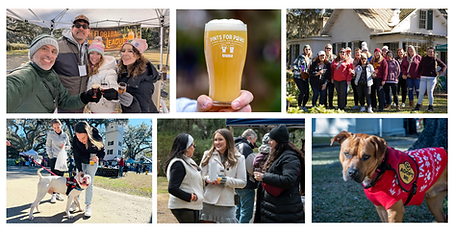 website photo collage.png